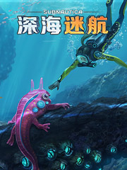 批袜子哪里最便宜
